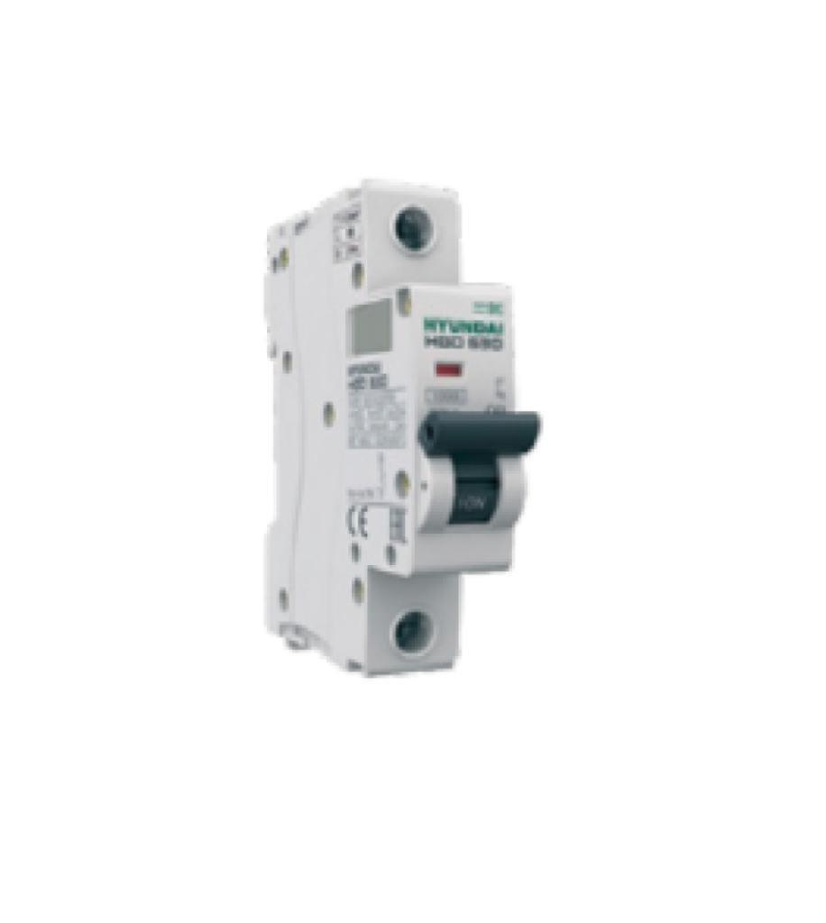 HGD | 2-Pole TM Miniature Circuit Breaker | HGD1–63 (10 kA, C Curve)